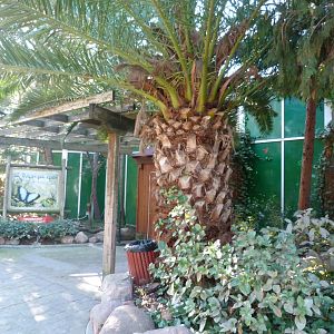 "Jardín del Edén" building -Faunia (2025)