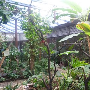 Butterfly walkthrough greenhouse in "Jardín del Edén" -Faunia (2025)