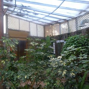 Butterfly walkthrough greenhouse in "Jardín del Edén" -Faunia (2025)