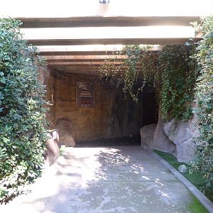 Entrance to "Sombras silenciosas" -Faunia (2025)