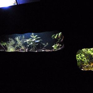 Aquariums in "Sombras silenciosas" -Faunia (2025)