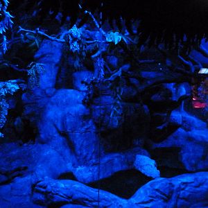 Linnaeus’ two-toed sloth and Humboldt’s night monkey exhibit -Faunia (2025)