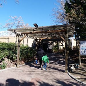 Entrance to "Los Polos" -Faunia (2025)