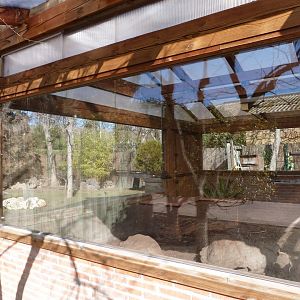 Aldabra giant tortoise and African spurred tortoise indoors exhibit -Faunia (2025)