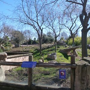 Meerkat exhibit -Faunia (2025)