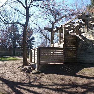 Bennett’s wallaby and Emu exhibit -Faunia (2025)