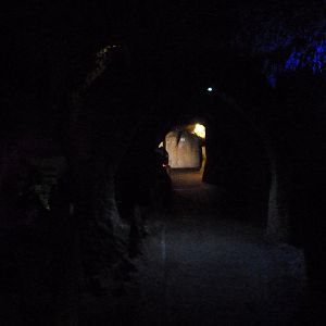 View in "Misterios bajo tierra" -Faunia (2025)