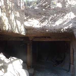 Exit of "Misterios bajo tierra" -Faunia (2025)