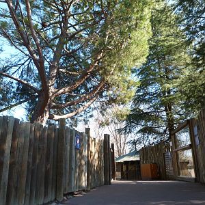 Red panda viewing area -Faunia (2025)