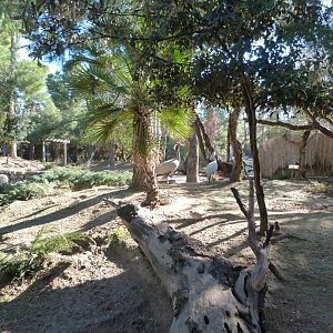 "Bosque templado" walkthrough exhibit -Faunia (2025)