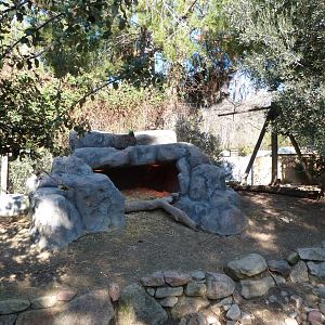 "Bosque templado" walkthrough exhibit -Faunia (2025)