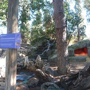 "Bosque templado" walkthrough exhibit -Faunia (2025)