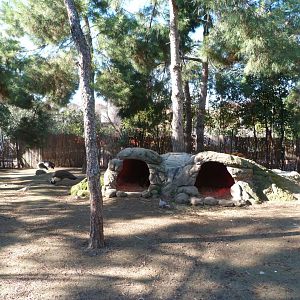 "Bosque templado" separate exhibit -Faunia (2025)