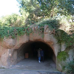 "La Jungla" entrance -Faunia (2025)