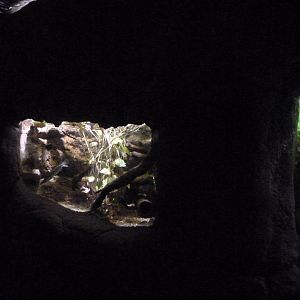 Aquariums -Faunia (2025)