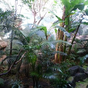 White-faced saki, Roseate spoonbill, Toco toucan, Military macaw and Blue-and-gold macaw exhibit -Faunia (2025)