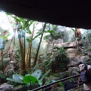 White-faced saki, Roseate spoonbill, Toco toucan, Military macaw and Blue-and-gold macaw exhibit -Faunia (2025)