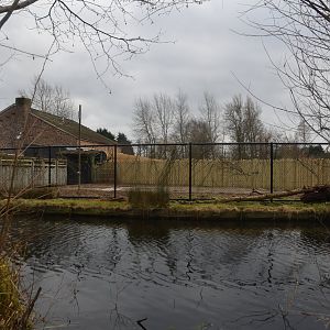 New Paddock at Chester, 1st February 2025