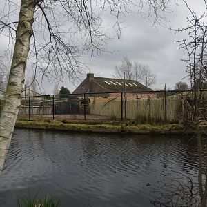 New Paddock at Chester, 1st February 2025