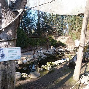 "Bosque Africano" walkthrough aviary -Faunia (2025)