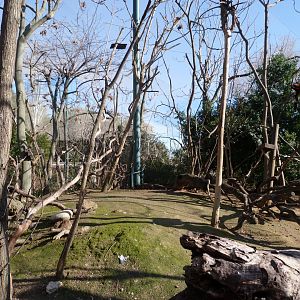 "Bosque Africano" walkthrough aviary -Faunia (2025)