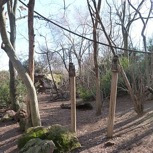 "Bosque Africano" walkthrough aviary -Faunia (2025)