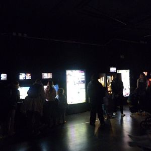 "Veneno" pavilion view -Faunia (2025)