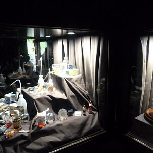 Venom display -Faunia (2025)