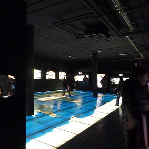 "Veneno" pavilion view -Faunia (2025)