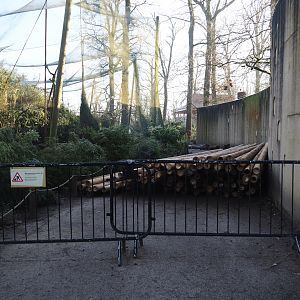 Bamboo poles, possibly for aviary or bird hut renovations, next to Demoiselle crane aviary, 2025-02-02