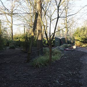 Ground work between Asian aviaries and Asiatic lion aviaries, 2025-02-02