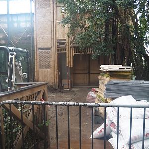 Orangutan greenhouse - Asian pigeon and Vietnam pheasant aviary being renovated, 2025-02-02