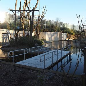 Working pontoon next to Sumatran orangutan island, 2025-02-02