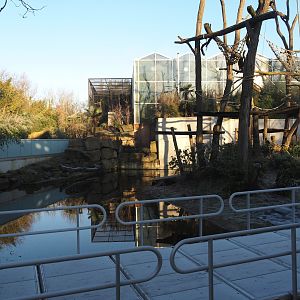Working pontoon next to Sumatran orangutan island, 2025-02-02