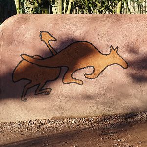 Emu and Kangaroo mural on wall next to viewing area, 2025-02-02