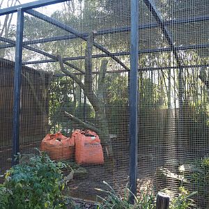 Mexican military macaw aviary undergoing renovation, 2025-02-02