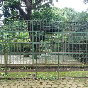 Zoológico Nacional de Nicaragua: chimpanzee enclosure