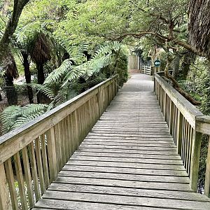 New Zealand Precinct - Entrance