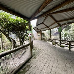 Kea Aviary