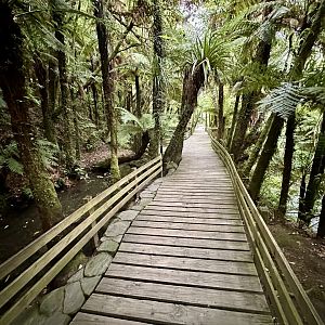 Trout Pools Boardwalk