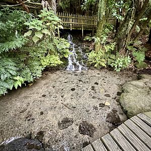 Freshwater Spring (Lower)