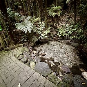 Freshwater Spring (Upper)