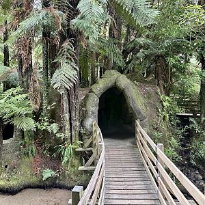 Trout Underwater Viewing Cave (Exit)