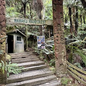 New Zealand Rainforest Trail (Entrance)
