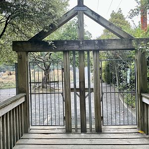 Lion Park - Entrance Gates