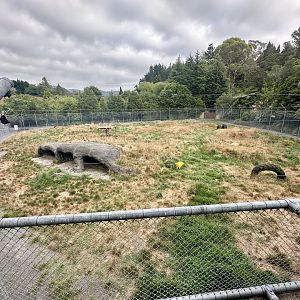 Lion Park (Aerial View)