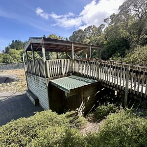 Lion Park (Dens/Viewing Platform)