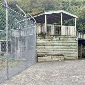 Lion Park (Dens/Viewing Platform)