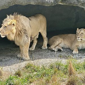 Siblings (Fletcher and Freyja)