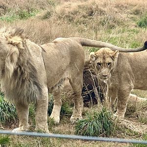 Siblings (Fletcher and Freyja)